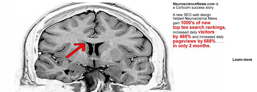 Neuroscience Website Design