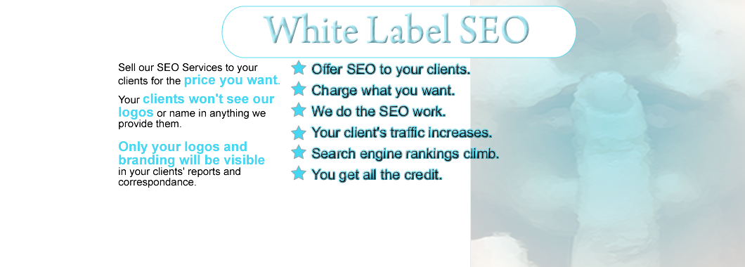 White Label SEO